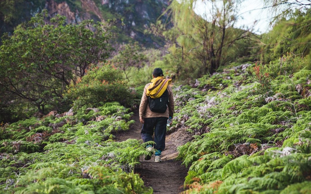 Homem na crise da meia idade caminhando na natureza