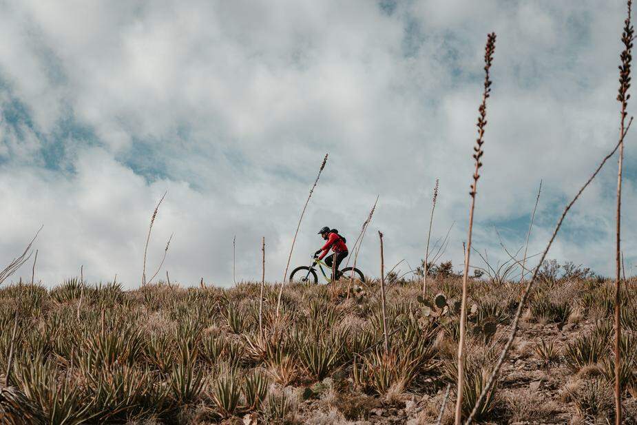 homem andando de bike em uma trilha na natureza